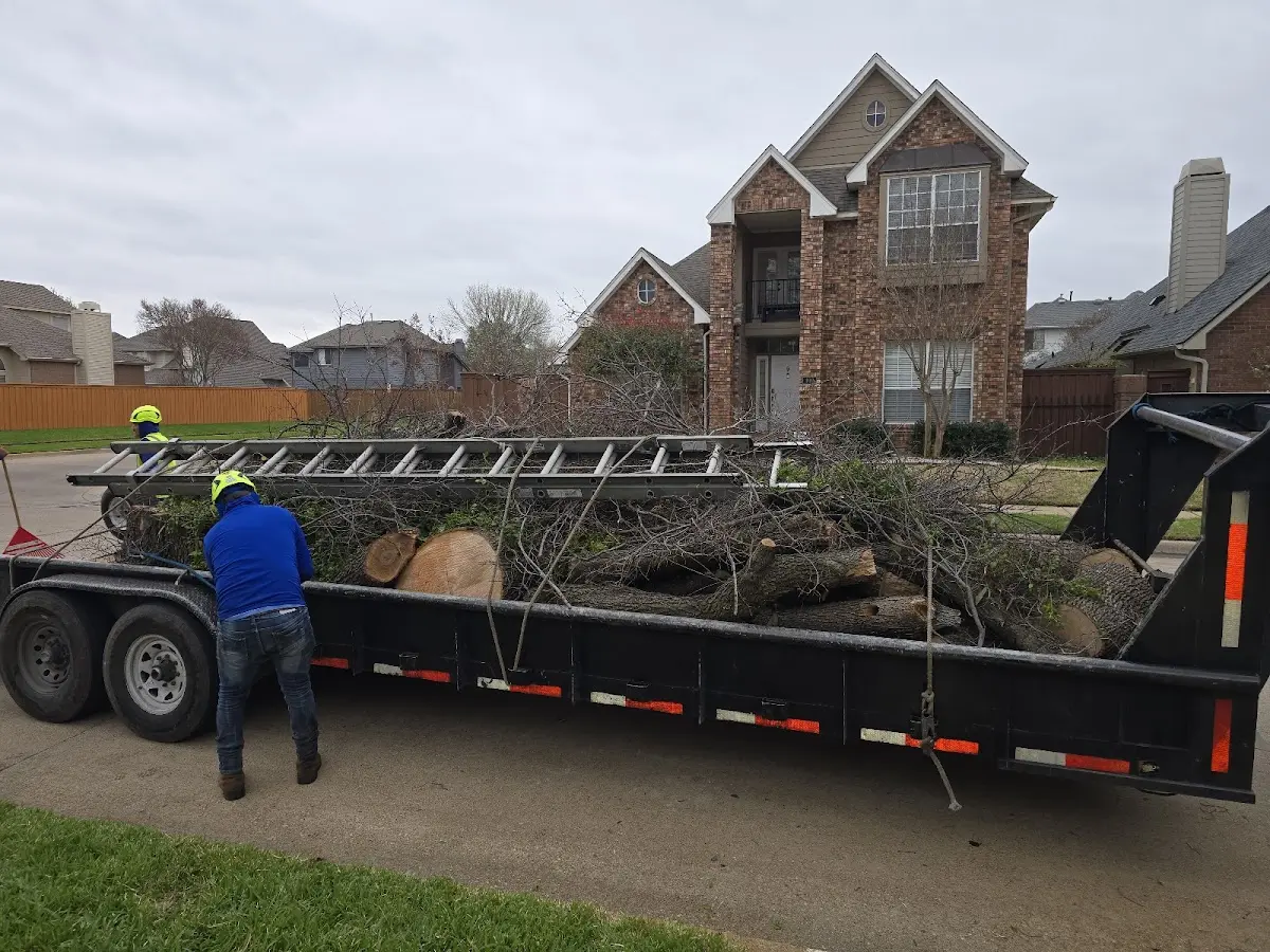 Expert Tree Fertilization with proper safety equipment in Burrton